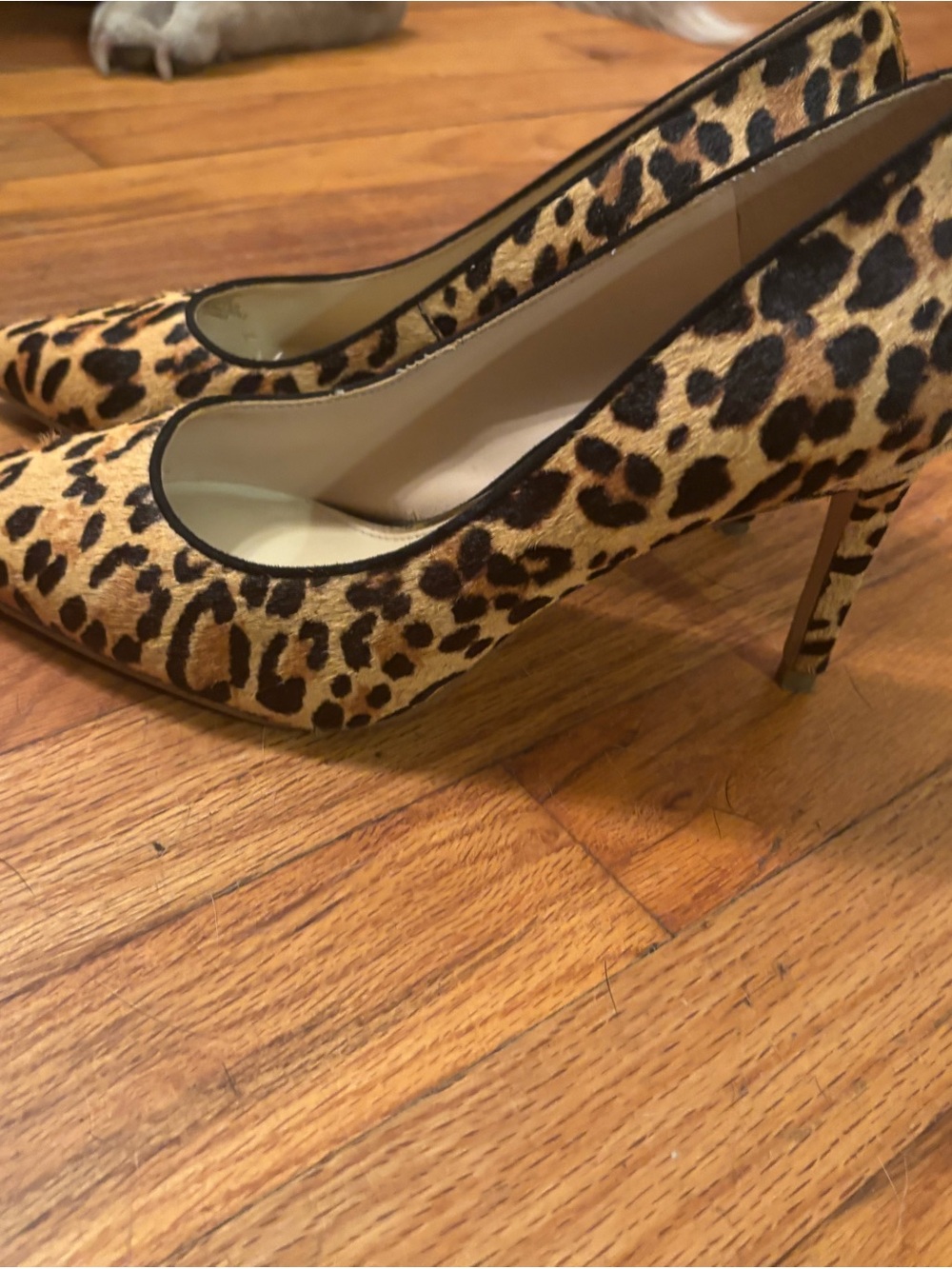 Jessica Simpson Leopard Print Pointed Toe Pumps in Tan and Black